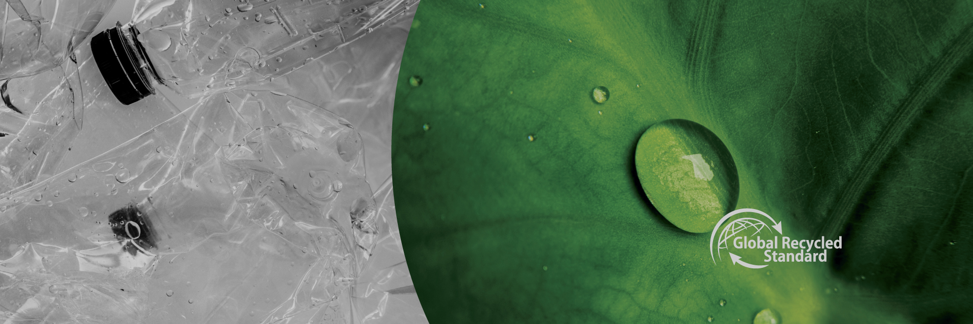 Updated Homepage Slider— Sustainability​